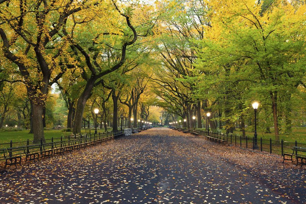 Hudson Central Park, A Morgans Hotel New York Exterior foto